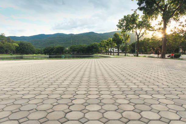 Best Concrete Paver Driveway  in Lakeside, VA